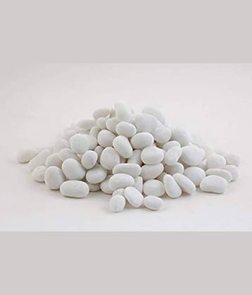 Somil White Pabbles/Stone For Garden, Plants, Aquarium & Home Decor Wt. 450g