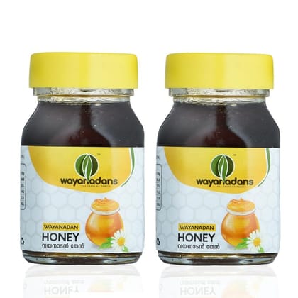 WAYANADANS Pure Honey, 100% Purity, No Added Sugar,100gm (Pack of 2)