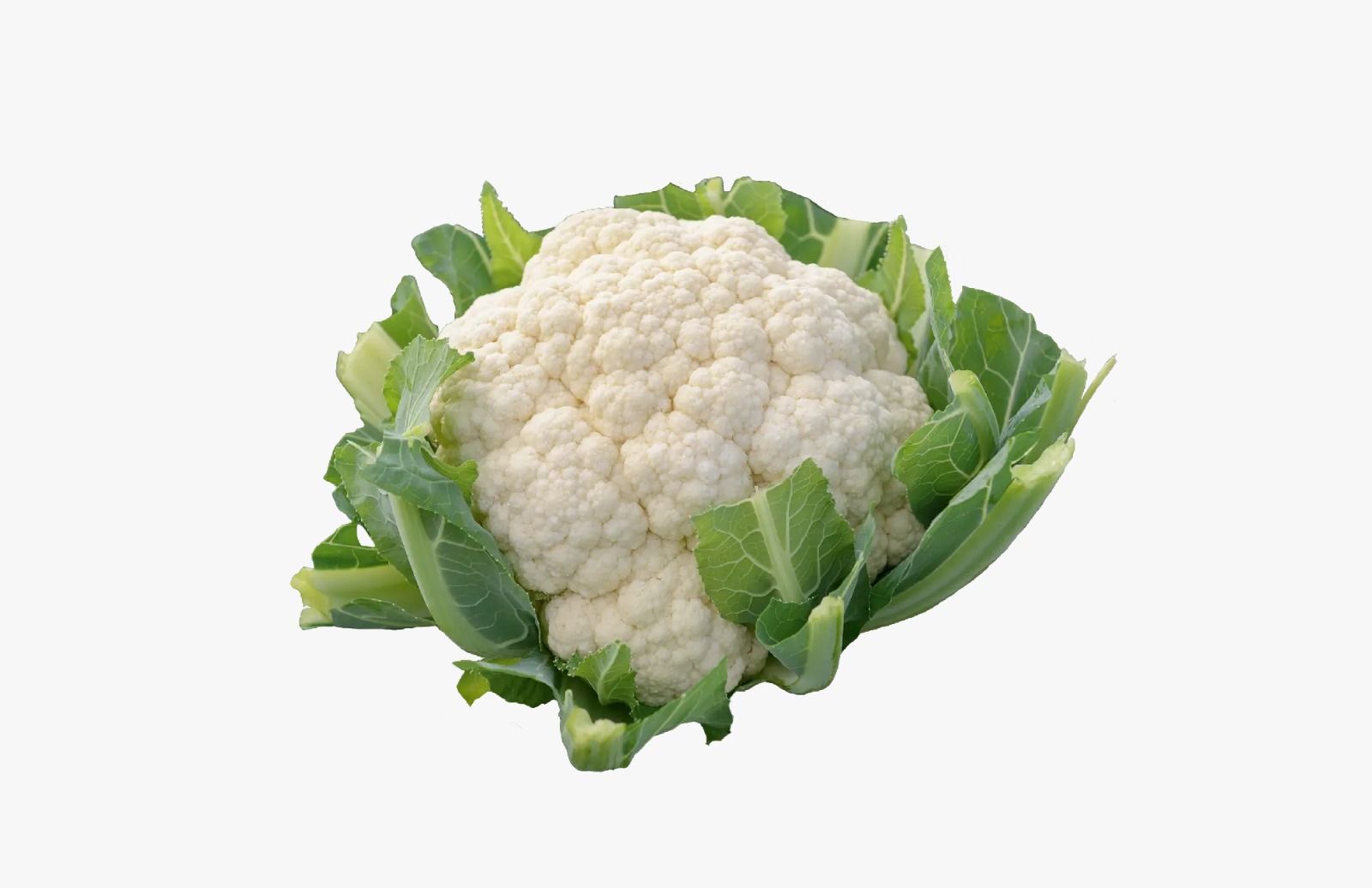 Cauliflower 