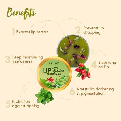 ELHAE Hydrating Lip Balm | Made with Desi Ghee & Organic Oils | Rich Texture & Glossy Finish in Mint Flavor � 30g