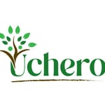 Uchero