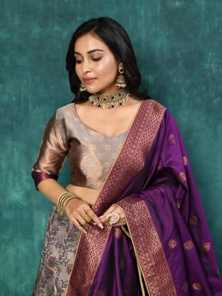 Chikoo Banarasi Semi-Stitched Lehenga Choli