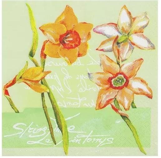 Decoupage Napkin / Tissue papers 33cm*33cm- GT3000