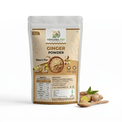 Ginger Powder - 100 gm - 100 gm - One pouch of ginger powder