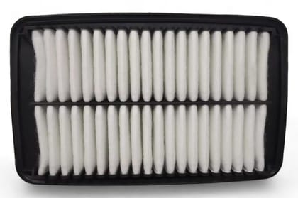 Zip Air Filter AV528167