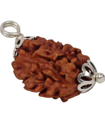 Astrodidi 3 Mukhi Rudraksha (Lab Certified) Pendant