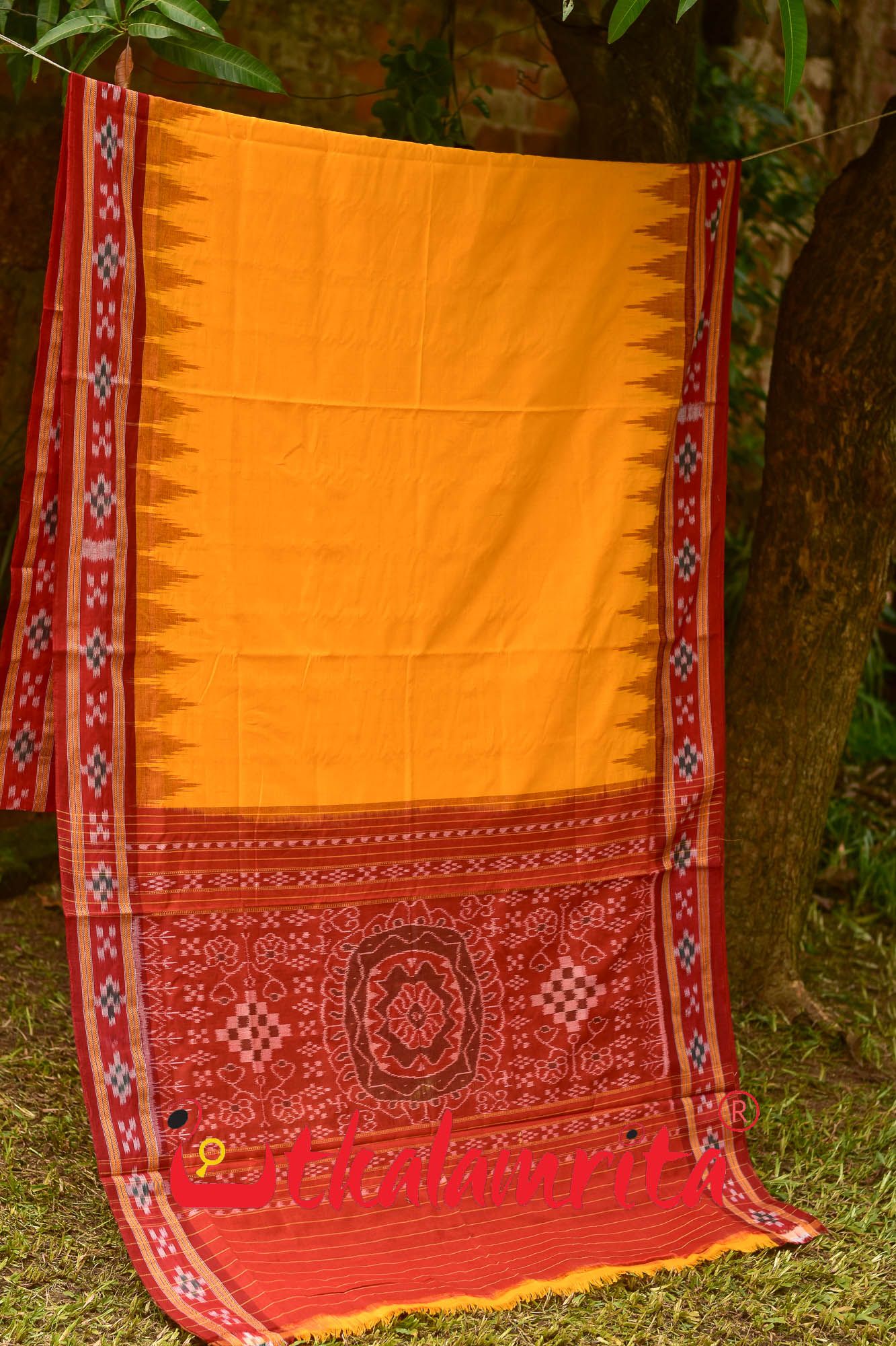 Yellow Pasapali Border Khandua Cotton Saree