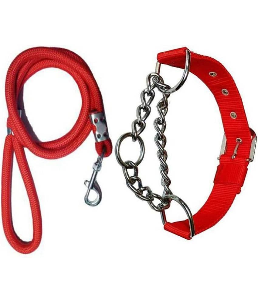 Smart Doggie - Multicolor Dog Collar (Small)