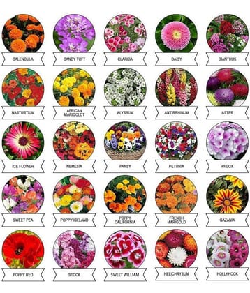 Winter Flower Seeds Pack of 20+ Variety