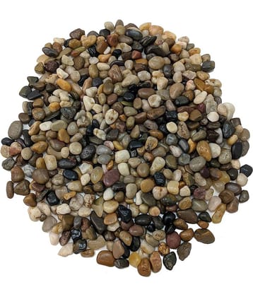 Green plant indoor Natural Stones