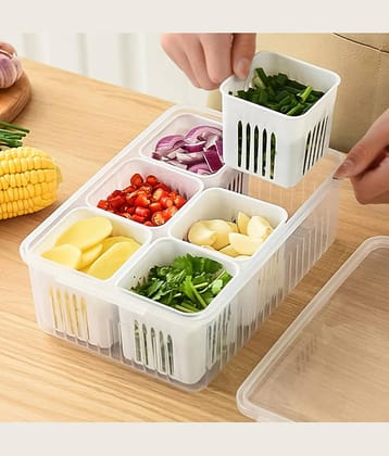 HEXA HUB Fridge Storage Boxes Plastic White Food Container ( Set of 1 )