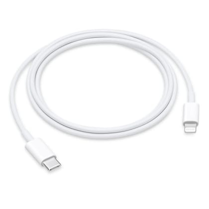 Apple Original USB-C to Lightning Fast Charging Cable (1 Meter)
