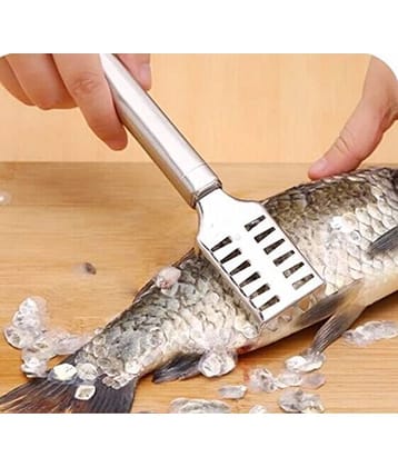 Idream Stainless Steel Fish Descaler, Scale Remover