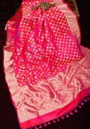 Reddish Pink dual tone Shot Banarasi Katan Silk Saree with Intricate zari jaal | SILK MARK CERTIFIED