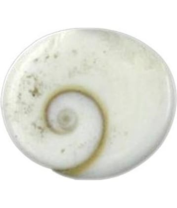 Shri Astha Vinayak Vastu Showpiece 2 cm - Pack of 1