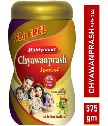 Baidyanath Chyawanprash Special Paste 575 gm