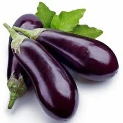 Brinjal (begun) - 1kg