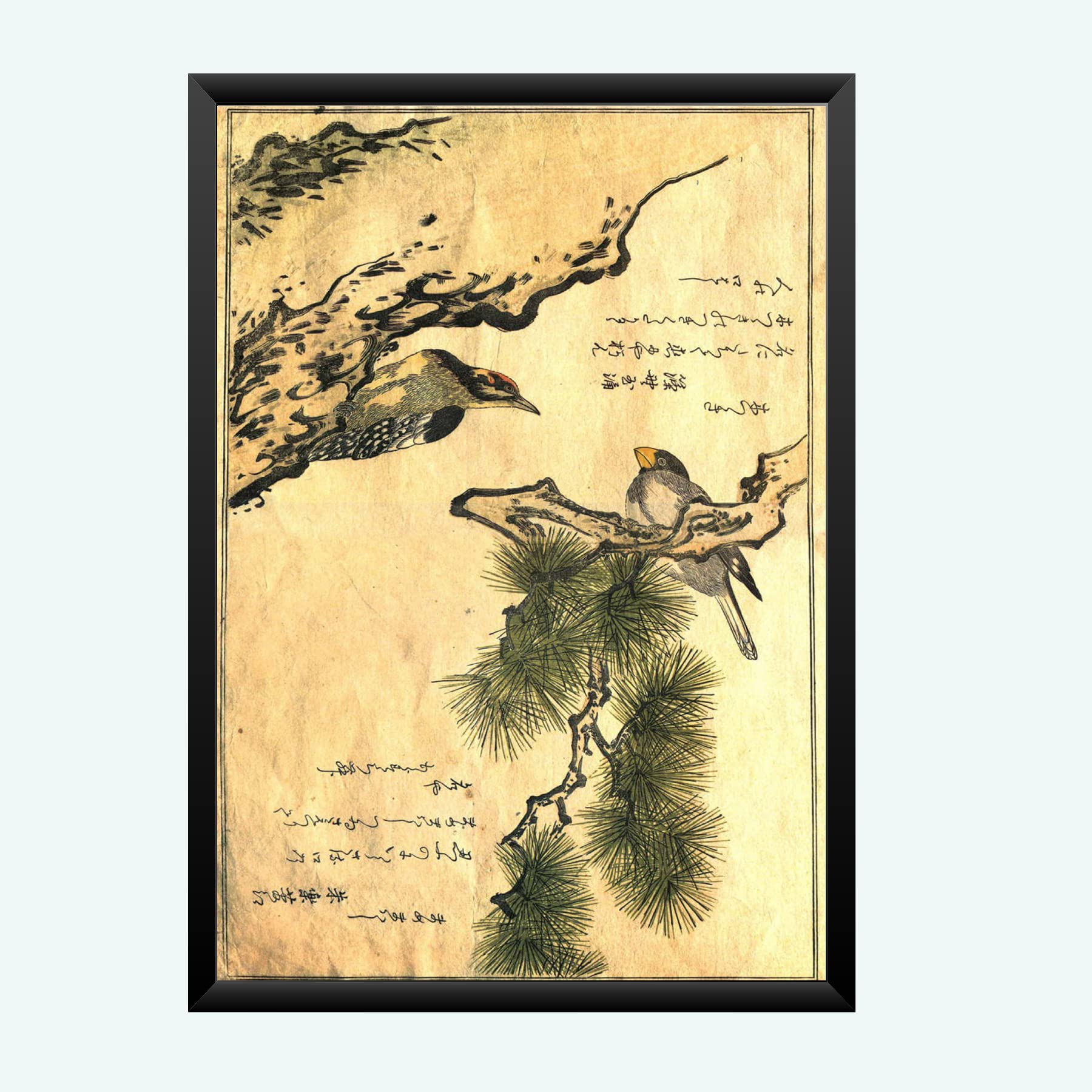 NOKKES Wall Decoration Best Quality Photo Frame For Home Living Room Drawing Roon Size 8X12 Inch_4