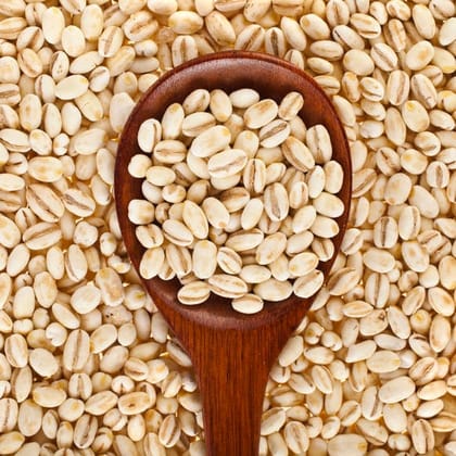Barley Seed, Jau, Pearl Barley, Barley Grain, Jau Dana 500gm