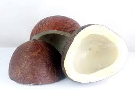 COCONUT DRY 500GMS