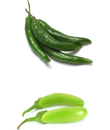 Vegetable seeds Green Chili and Green Brinjal Combo pack of 100 best quality premium seeds