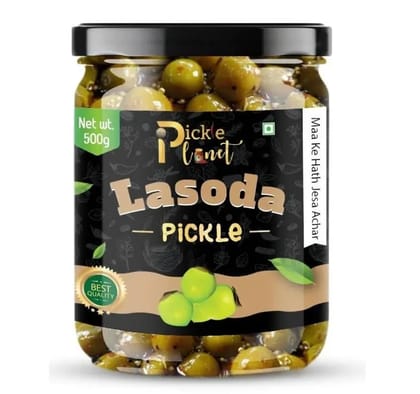 Pickle Planet Lasoda Pickle | Homemade Pickle | Authentic, Tangy & Delicious Taste | No Artificial Color and Flavors | Gluten Free | Lasode ka achar (500g) Pickle Planet Lasoda Pickle | Homemade Pickle | Authentic, Tangy & Delicious Taste | No Artificial Color and Flavors | Gluten Free | Lasode ka achar (500g)