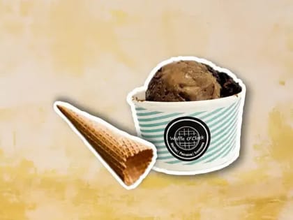 Nutty Belgian Choco Ice Cream