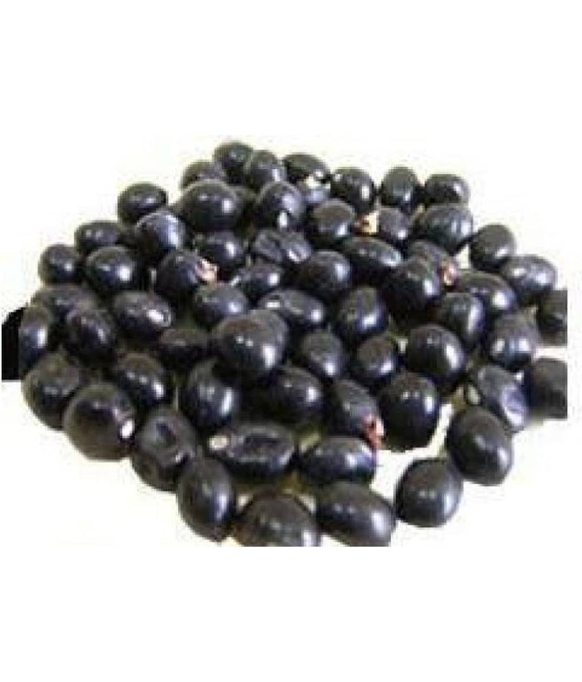 SWASTI45 GUNJA KALA / KALA GUNJA / BLACK GUNJA / BLACK ROSARY PEA / KALI GUMACHI / CHIRMI BEADS / काला गूंज - 21 PCS - VINARGHYA Pharmaceuticals