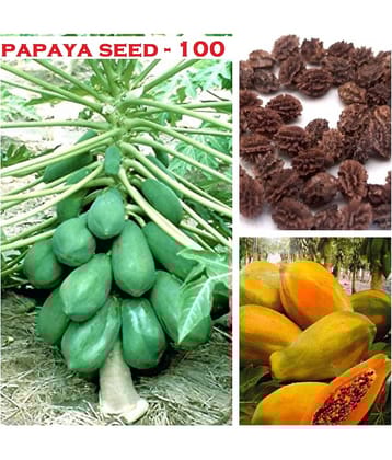 Thai Papaya Organic Variety Dwarf Fruit - 100 Seeds + Instruction Manual