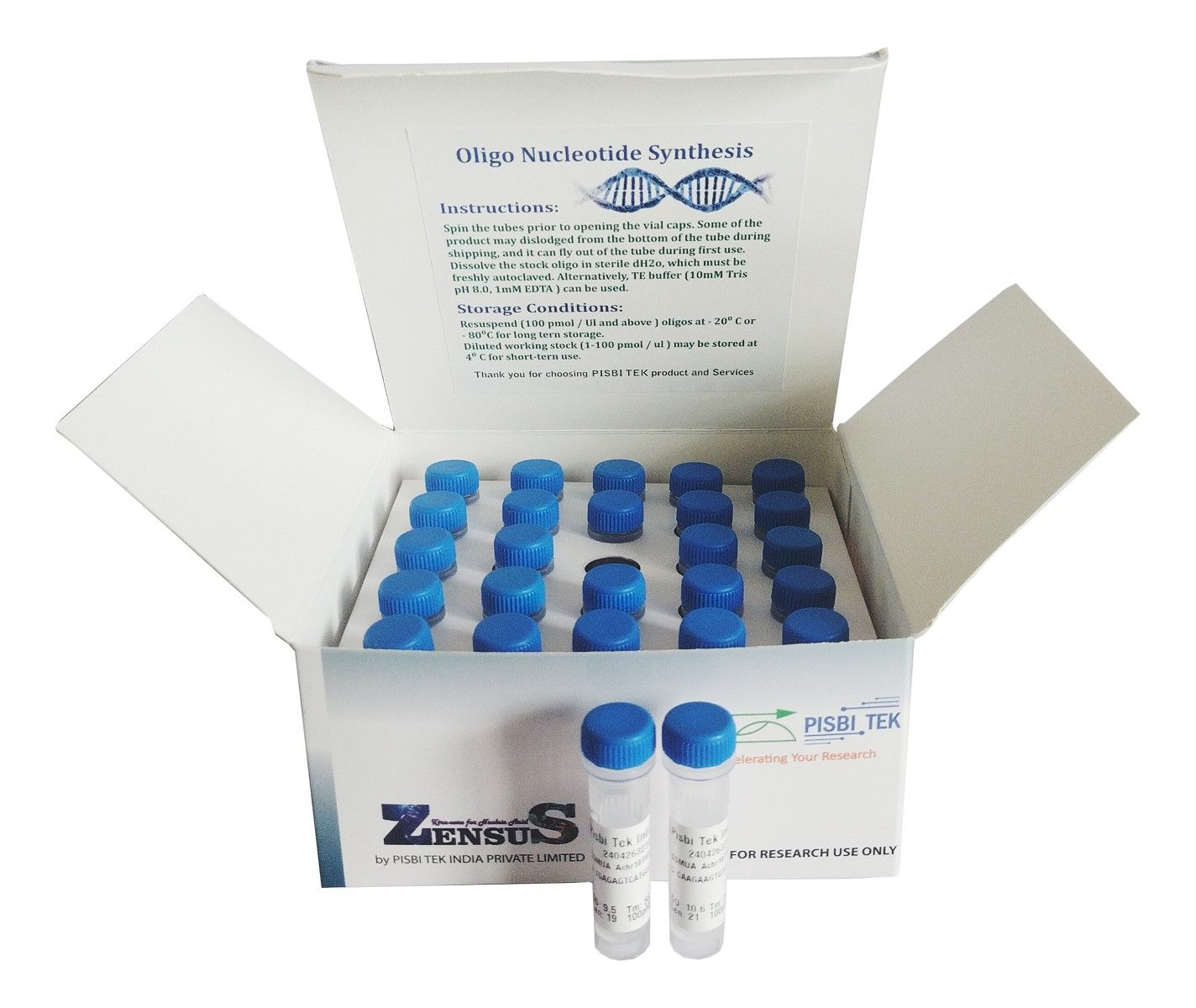 Customized Oligonucleotide DNA Primer 25 nmol / Scale