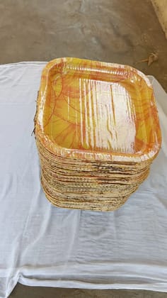 EcoFriendly Biodegradable Round Paper Plates 100 Pack