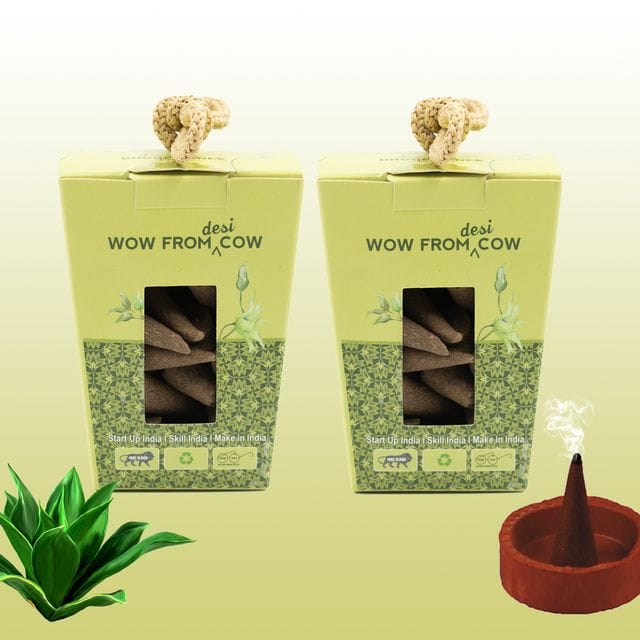 Nandi Panchgavya 100 Percent Cow Dung Kevda Dhoop Cones (100 Pcs) with Stand