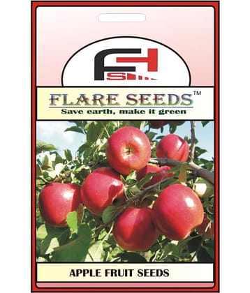 APPLE SEEDS - 10 Seeds Pack