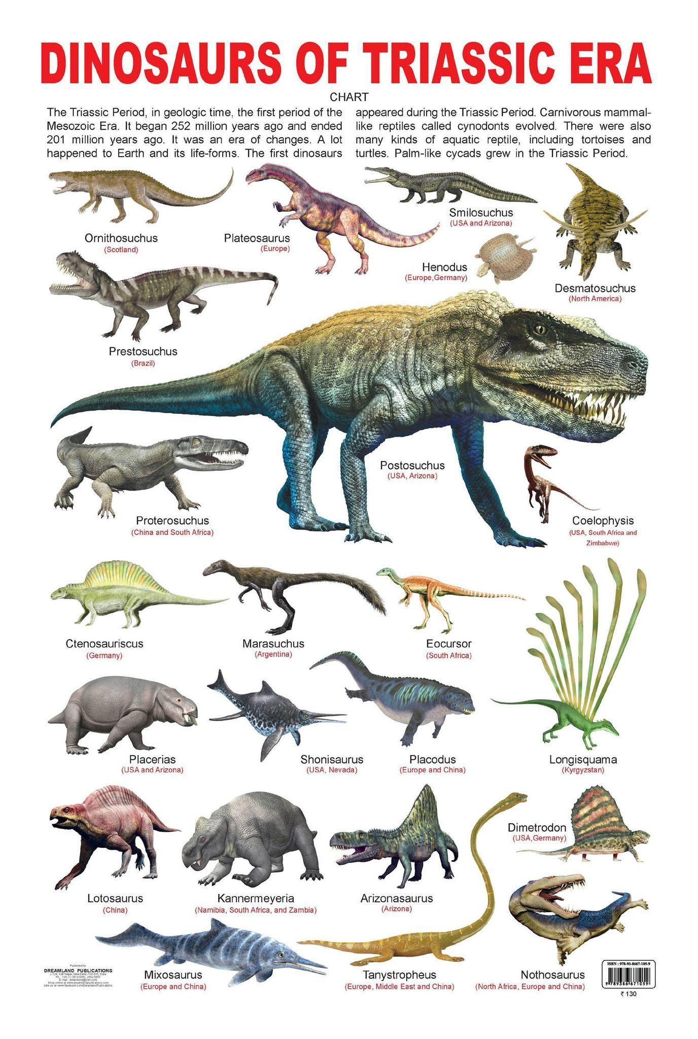 Dinosaurs of Triassic Era Educational Wall Chart For Kids - Both Side Hard Laminated (Size 48 x 73 cm) [Wall Chart] Dreamland Publications
