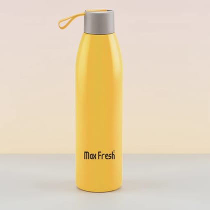 Maxfresh Stylish Hot & Cold Water Bottle Durable, Leak-Proof & Travel Friendly 500 ML