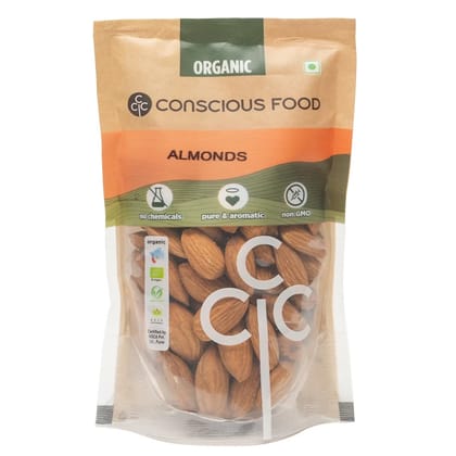 Conscious Food Almond 100g Organic