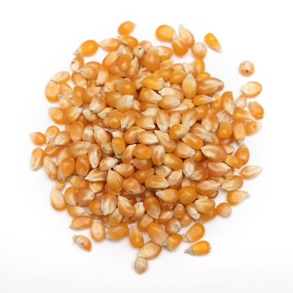 Mb Pop Corn Seeds 300 Gms