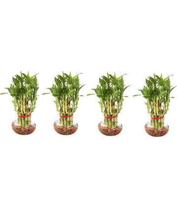 Green plant indoor - Green Wild Artificial Flowers With Pot ( Pack of 4 )