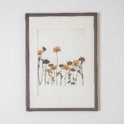 Daisy Pressed Flower Wall Art Handmade Botanical Dcor for Living Room & Gifting