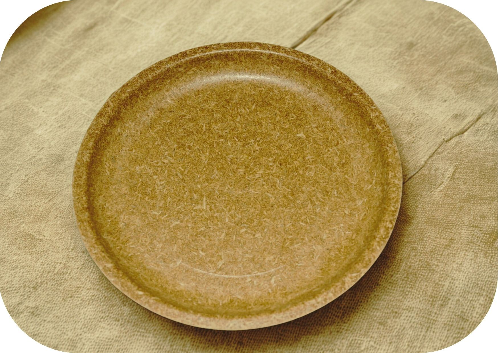 Biodegradable & Compostable Plates  Rice Husk Tableware - 10 inch Plate (Single-use, Eco-Friendly, 100% Natural, Plastic-Free)