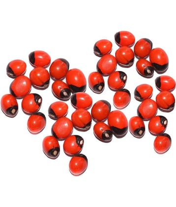 Yuvi Shoppe Natural Rakt Gunja / Red Chirmi Beads / Abrus Seed / Gamanchi / Gaunchi / Rati / Gulaganji / Guruvinda / Guruginia (21 pcs) Good for Wealth Benefit -(21 pcs)