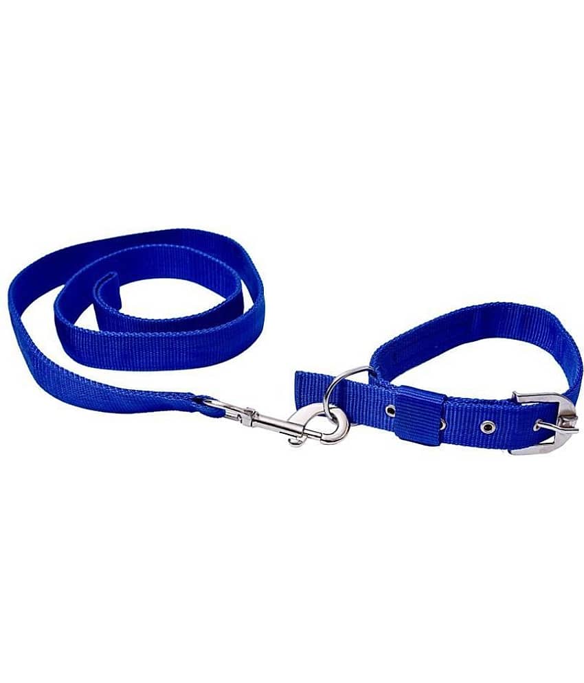 Tame Love - Red Dog Combo (Medium)