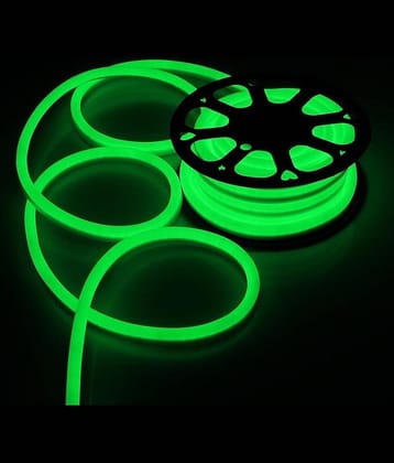 SPARKWORLD Green 5M Neon Light ( Pack of 1 )
