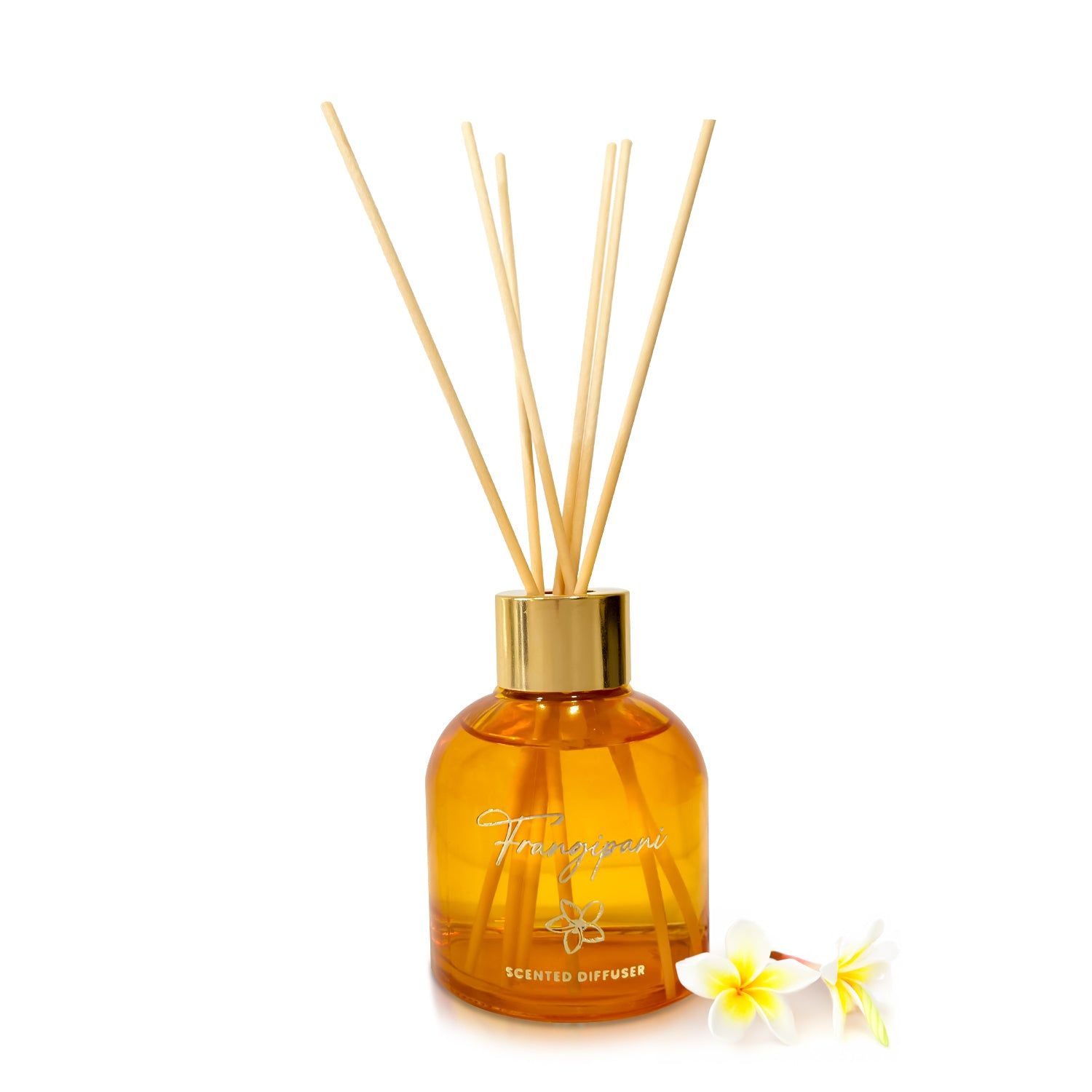 Frangipani Scented Reed Diffuser - Oriental Collection (100ml)-Frangipani