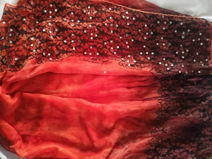 Exquisite Crepe Silk Saree Adorned with Mirrors