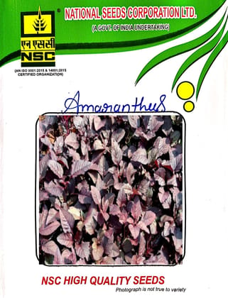 NSC-AMARANTHUS-ARKA ARUNIMA-100 GMS SEEDS NSC-AMARANTHUS-ARKA ARUNIMA-100 GMS SEEDS