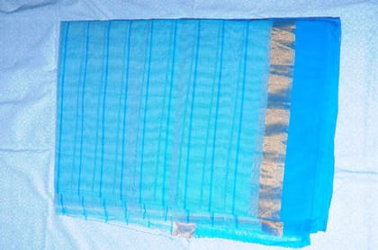 Elegant Blue and Gold Designer Saree