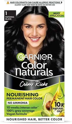 GARNIER COLOR NATURAL 1 BLACK BIG