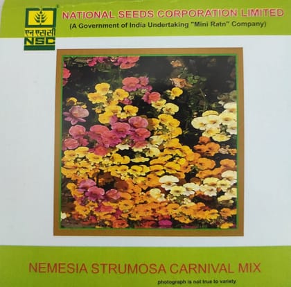 NSC Nemesia Strumosa Carnival Mix Flower Seed