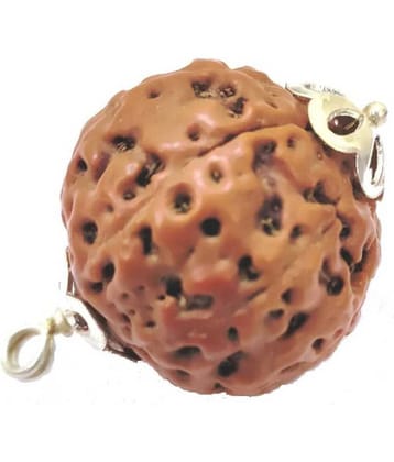 Astrodidi 8 Mukhi Eight Face Rudraksha Indonesian Pendant With Lab Certificate Original, Real & Natural